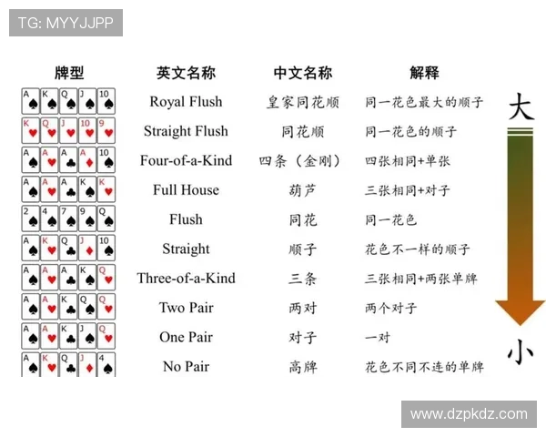 德州扑克小程序：新手入门到高手进阶的完整学习指南