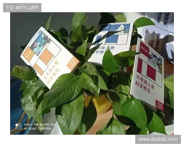 扑克牌滚珠怎么玩才能赢得更多胜利的实用攻略